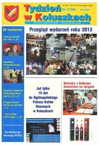Likier borówkowy - okładka