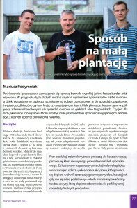 Sposób na małą plantację borówki-1