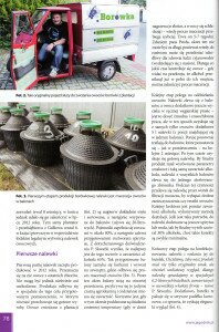 Sposób na małą plantację borówki-2